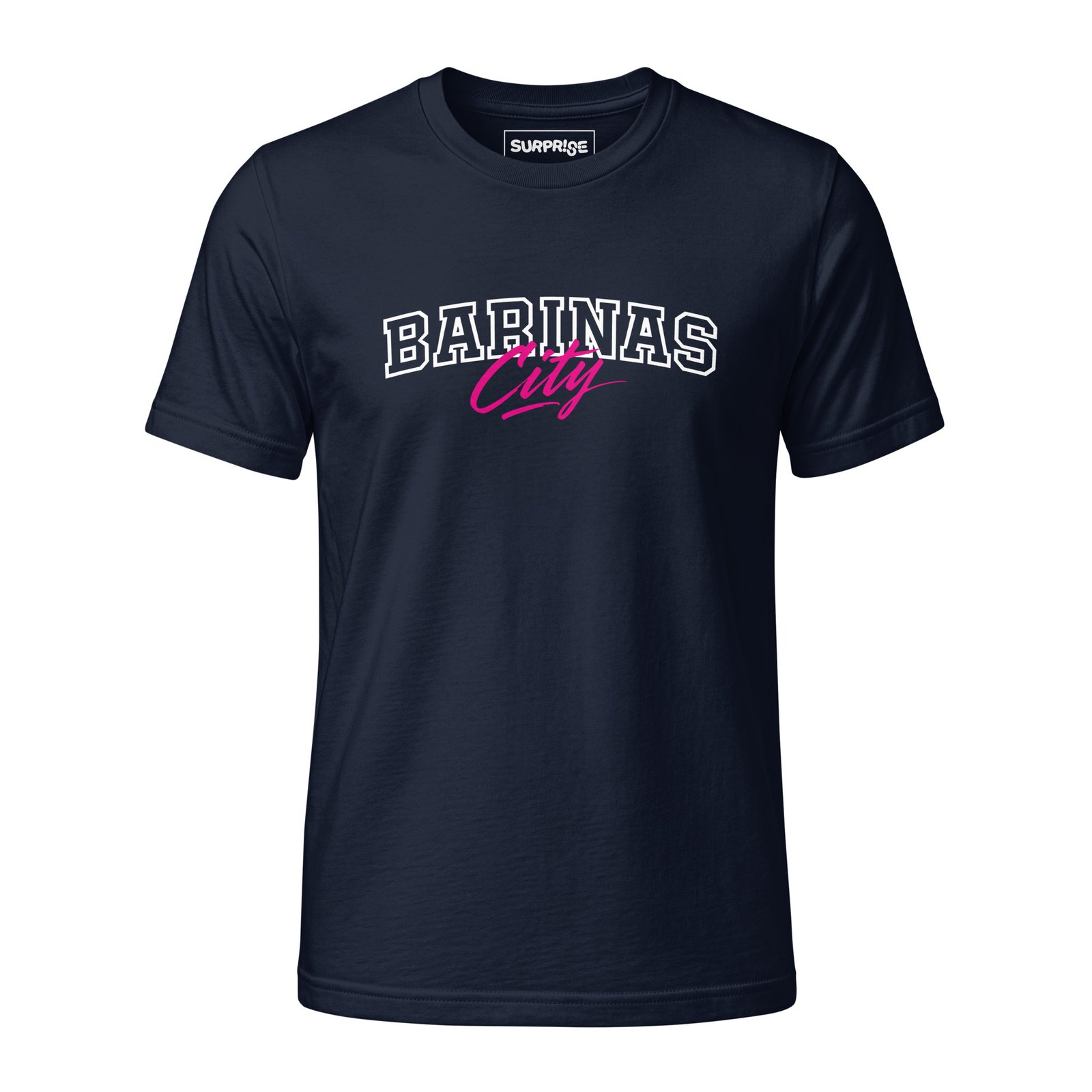 Fine Jersey T-Shirt (BARINAS CITY)